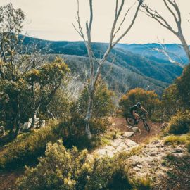 MTB Bike Buller Mountain Bike Ride High Country