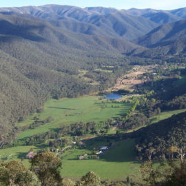 Harrietville Town