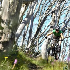 Mt Buller Epic Mountain Bike Park Misty Twist Intermediate XC