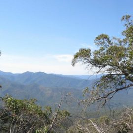 Mt Timbertop (Saddle to Summit)