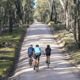 Family riding Beechworth's smooth gravel roads on the Beechworth - Chiltern National Park Loop route.