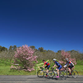 Rutherglen road cycling