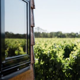 Window and Vineyard View